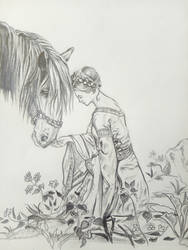 maiden and horse study