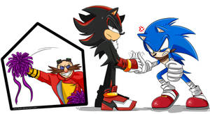 Sonic vs Shadow [Epic Battle]