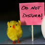 Do not disturb...