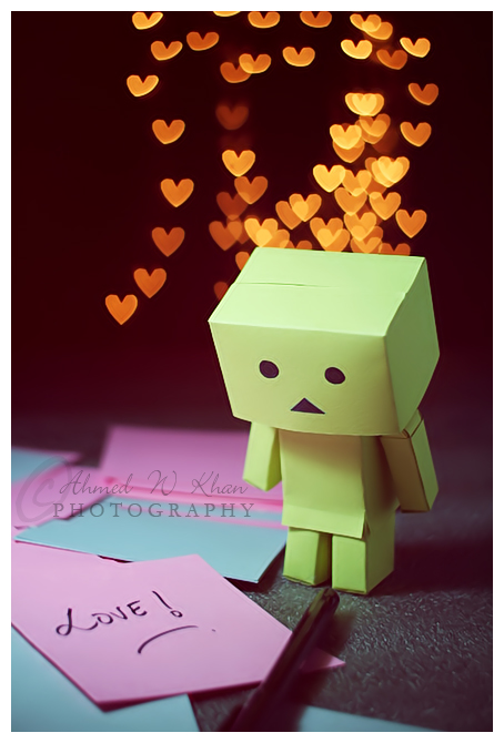 Danbo's New Year Resolution