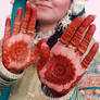 mehndi - V
