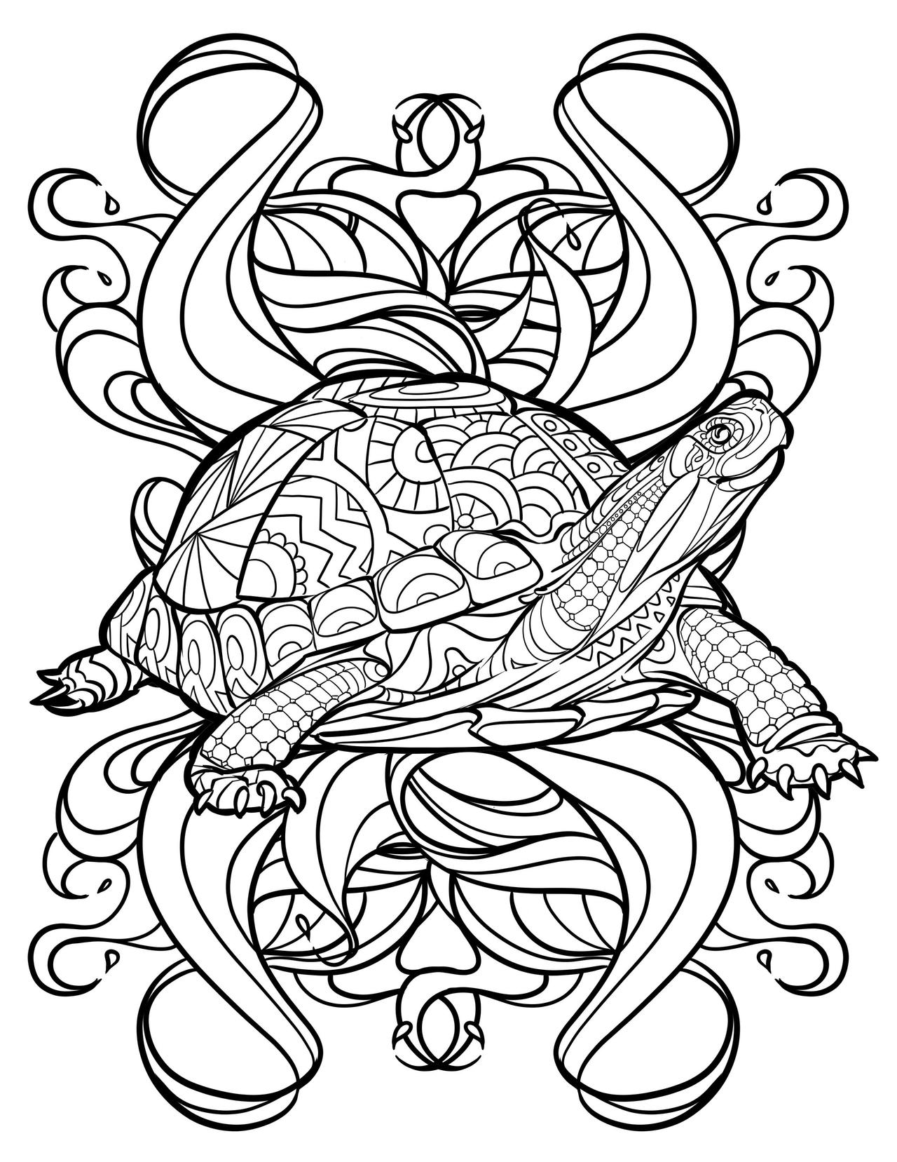 Line Art: Turtle by TheArtOfMarkALester on DeviantArt