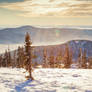 mountain landscape in winter