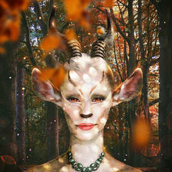 Faun