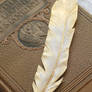 Gilded Angel Feather Bookmark
