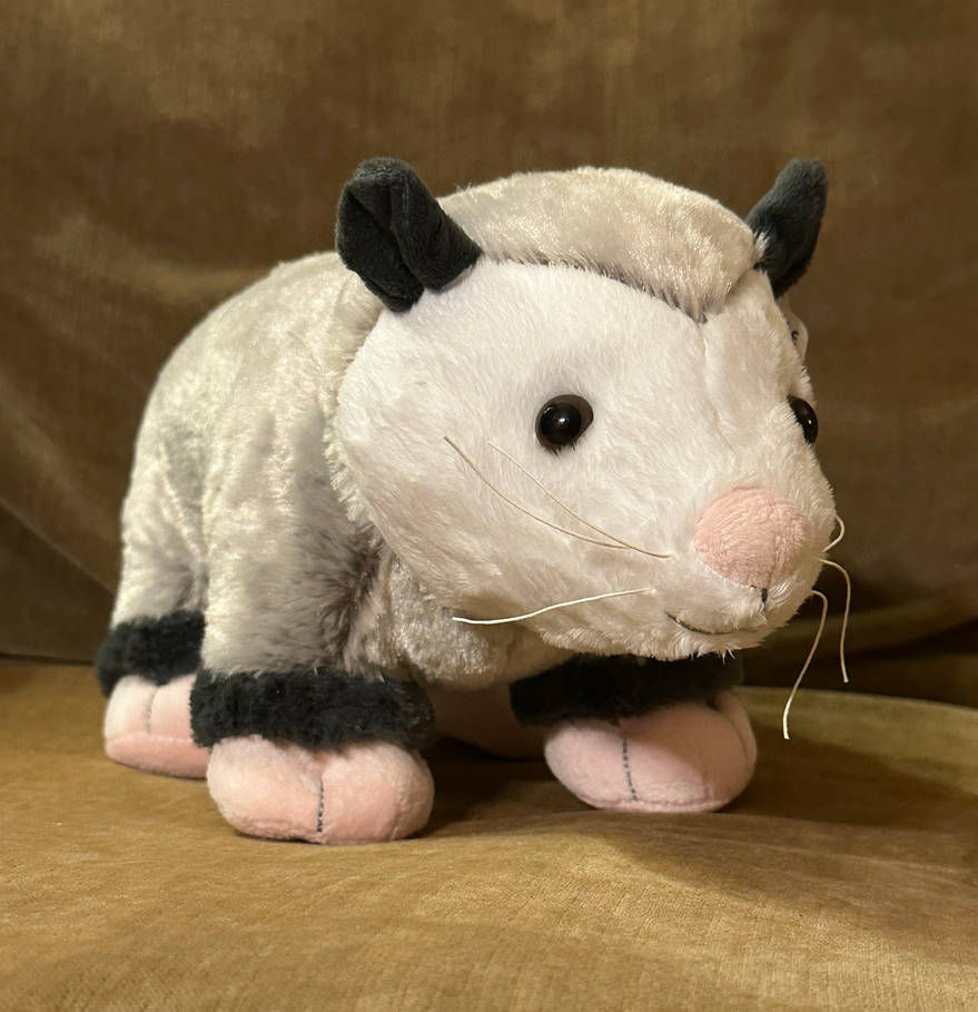 Build A Bear Opossum Plush by Webkinzjourneys on DeviantArt