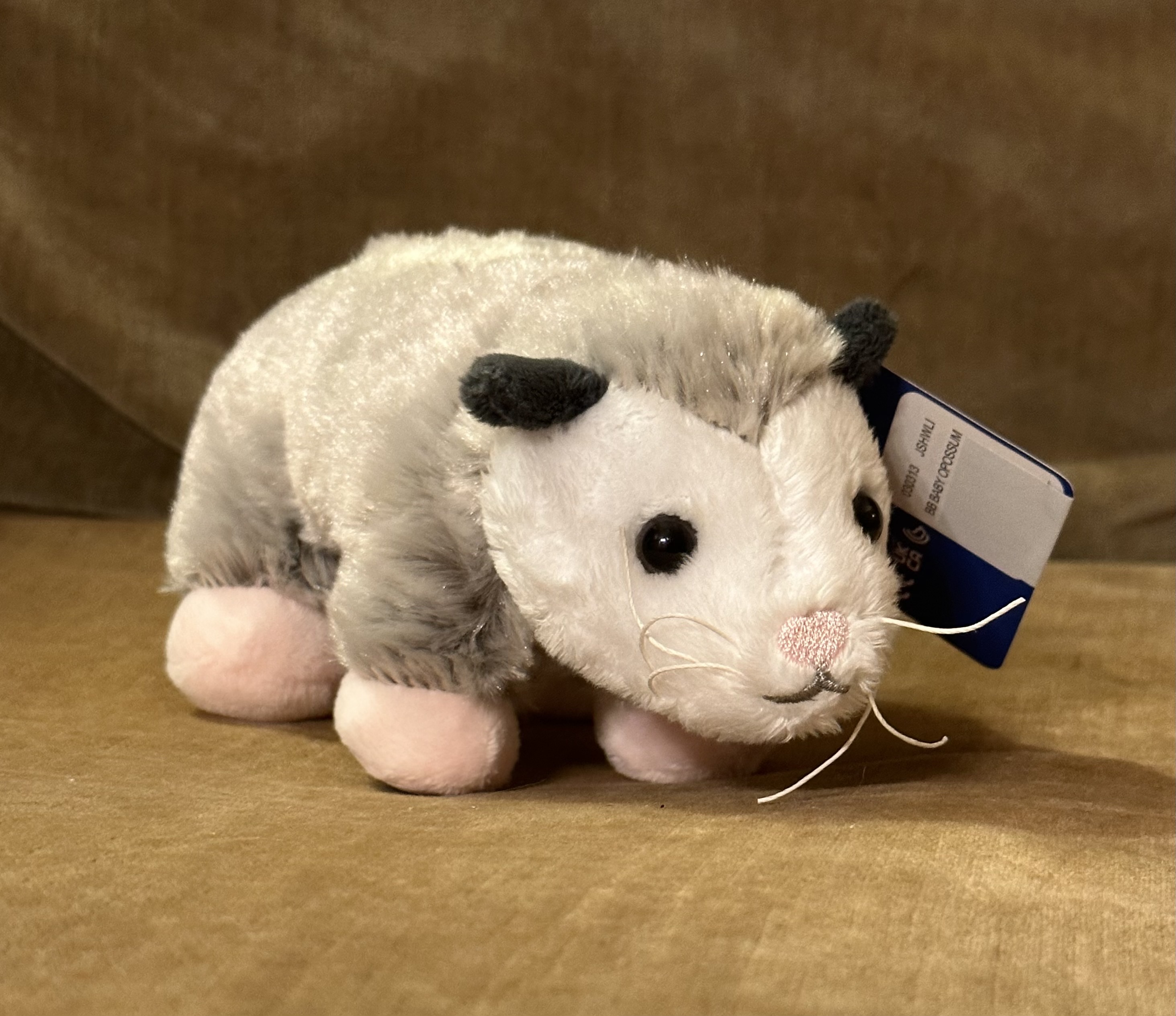 Build A Bear Baby Opossum Plush by Webkinzjourneys on DeviantArt
