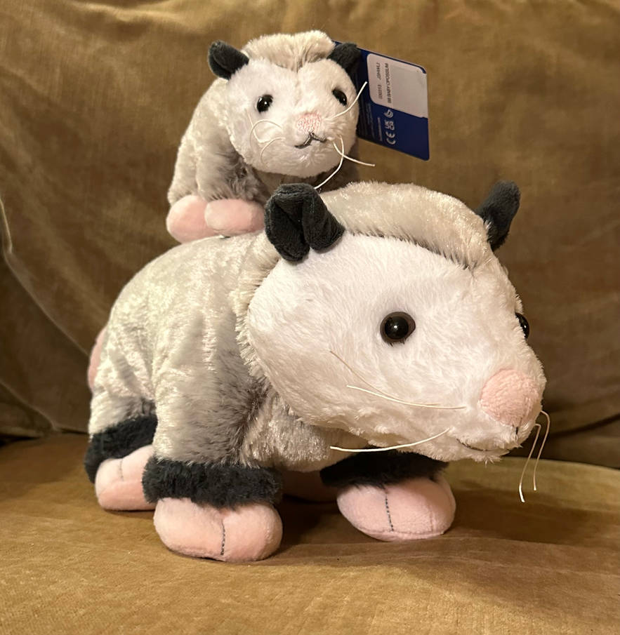 Build A Bear Opossum (normal and little) by Webkinzjourneys on