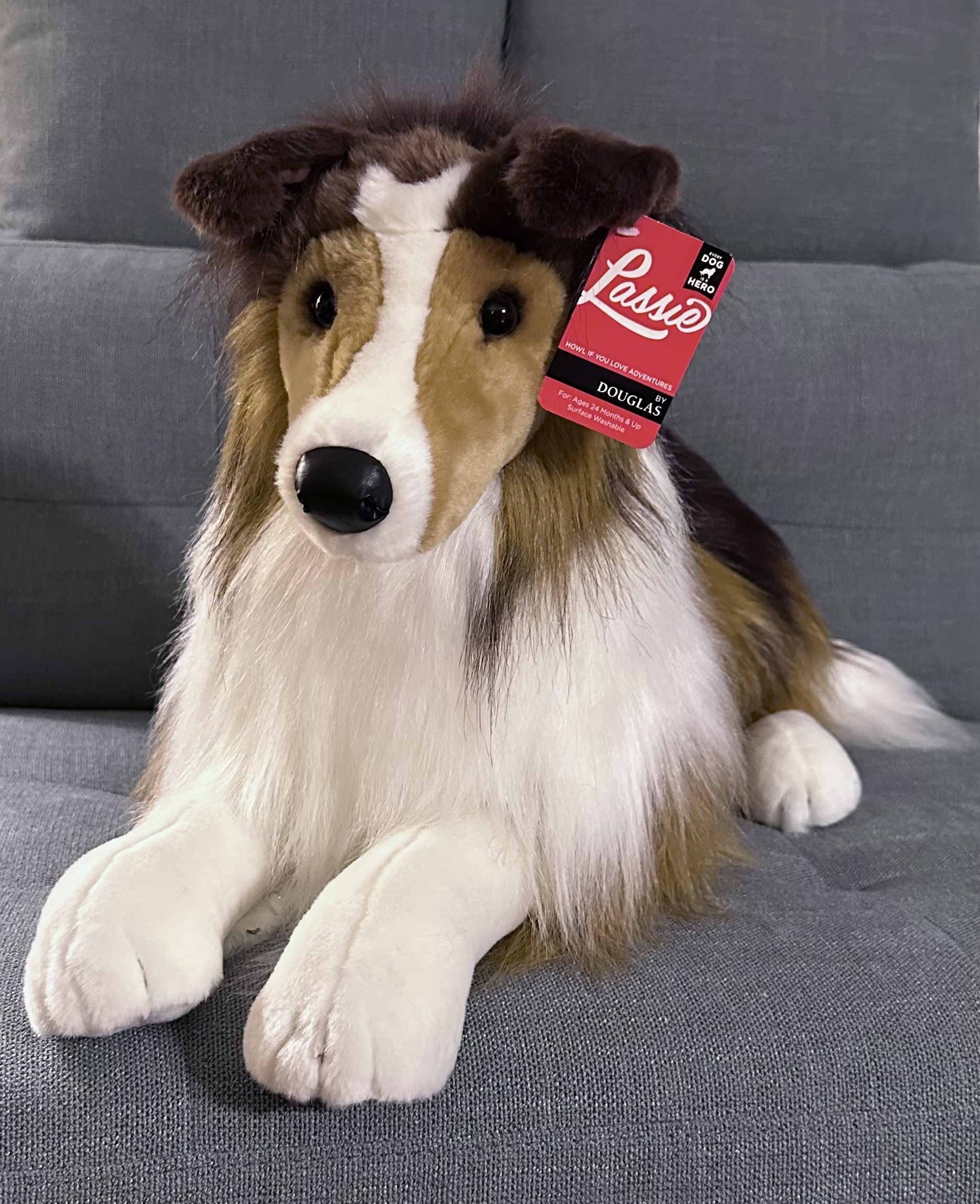 Lassie Collie – Big Furry Friends