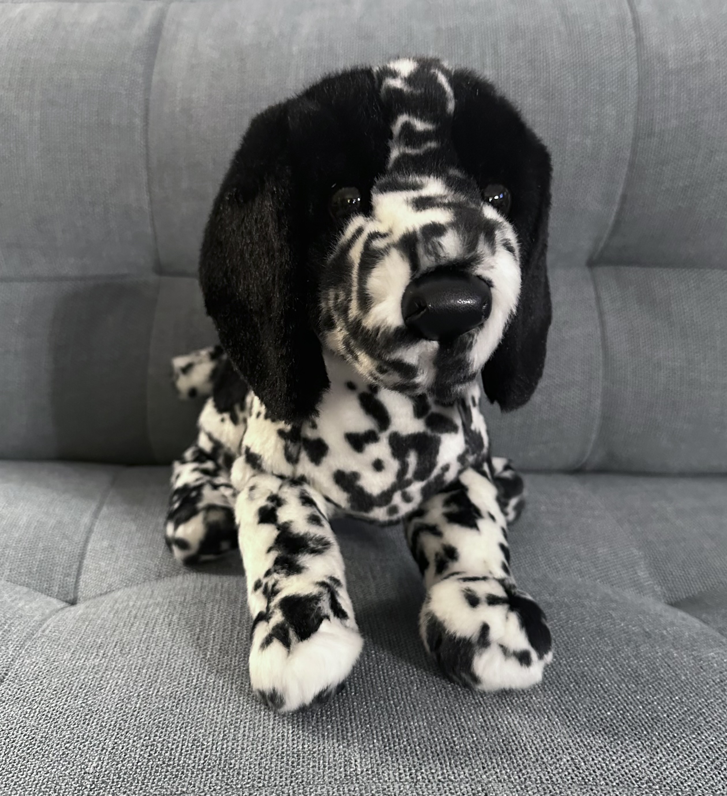 Toys For Pointer Dogs at Phoebe Wardill blog