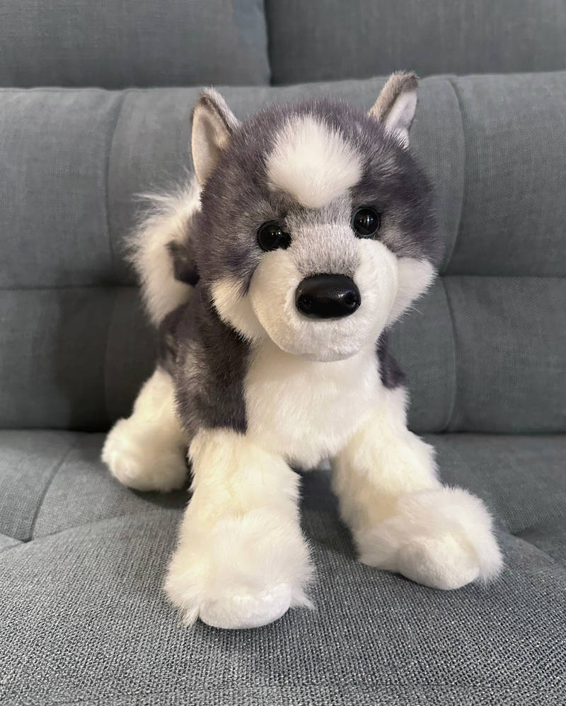 Douglas Cuddle Toys Sasha Husky Plush Dog by Webkinzjourneys on DeviantArt