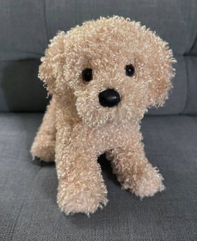 Douglas Cuddle Toys Libby Labradoodle Plush Dog