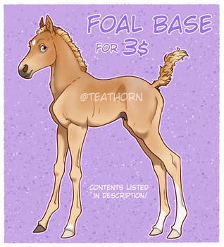 NEWBORN FOAL BASE