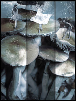 Dancing With Mushrooms