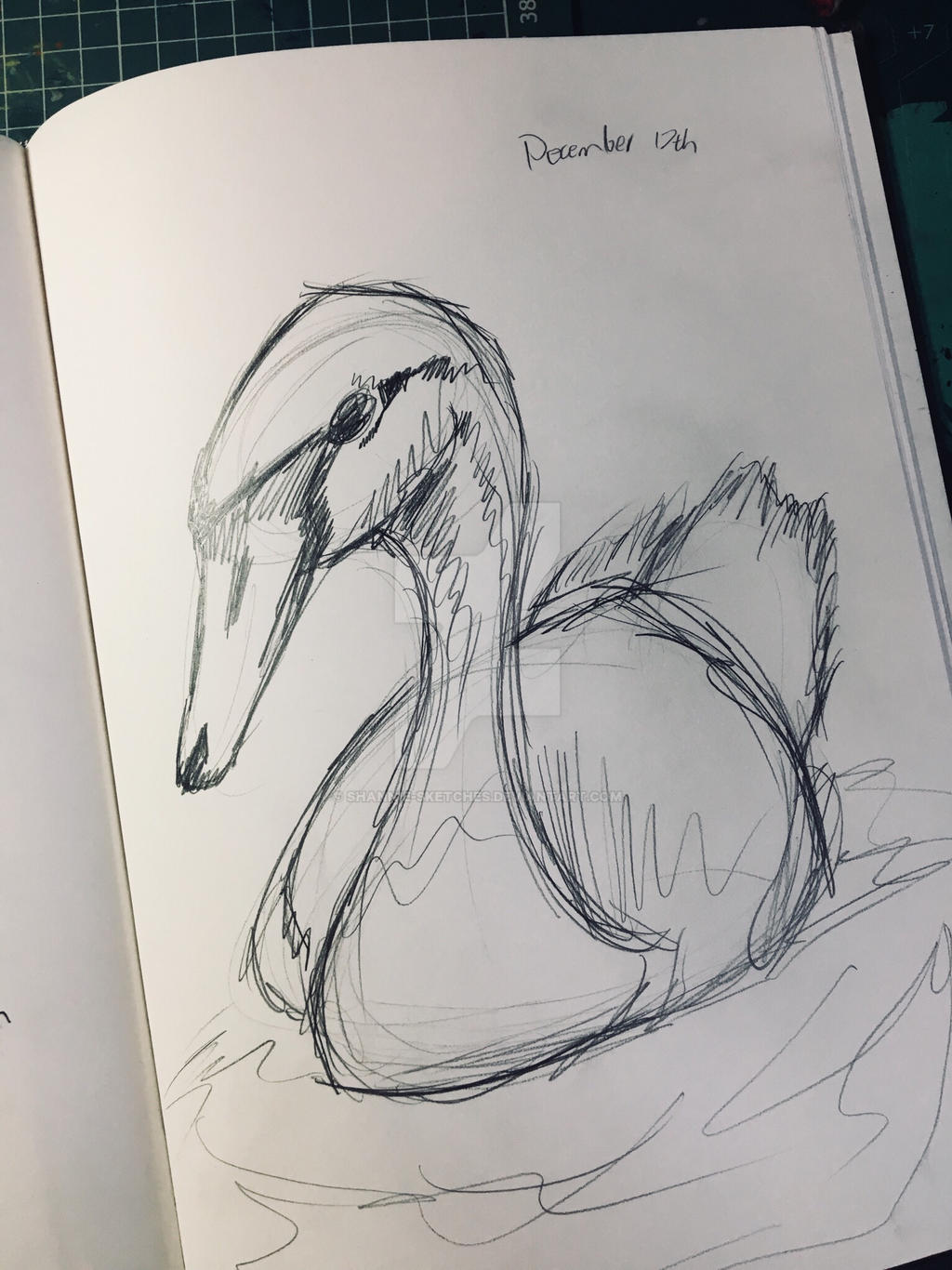 Swan sketch by Shannie-Sketches on DeviantArt
