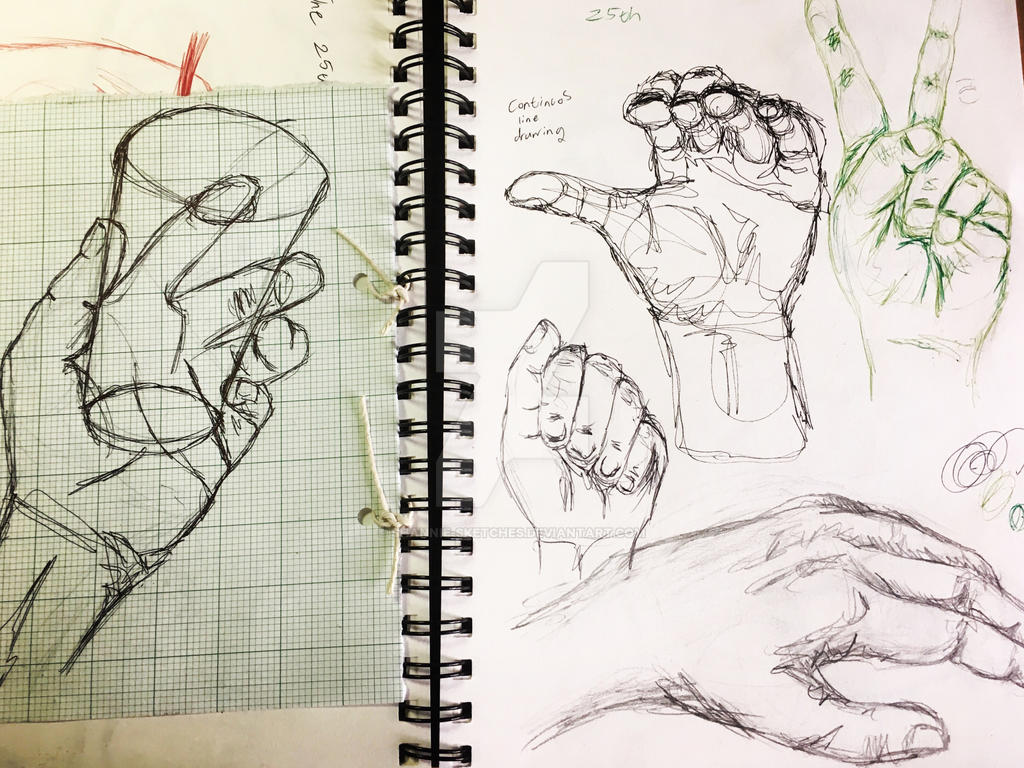 Hand Drawn Example Human hand studies by Shannie-Sketches on DeviantArt