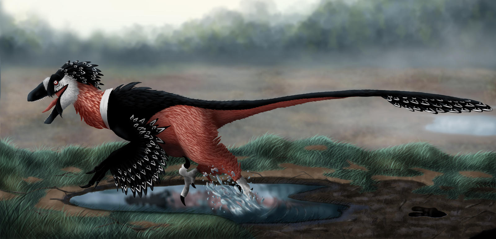 Bashful Raptor Bearded Raptor by drmambo199 on DeviantArt
