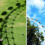 London Eye