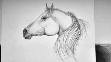 White Horse