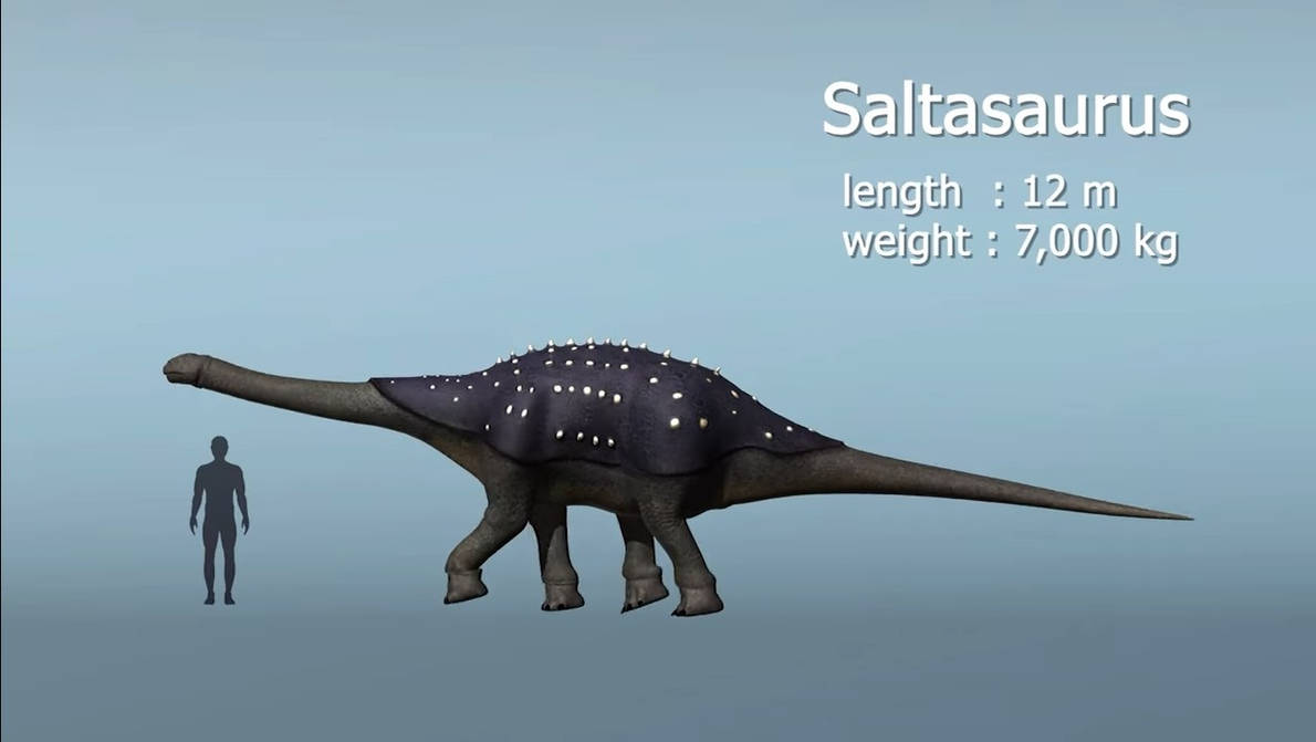 Saltasaurus size comparison human (Dino master) by 18B0130418 on DeviantArt