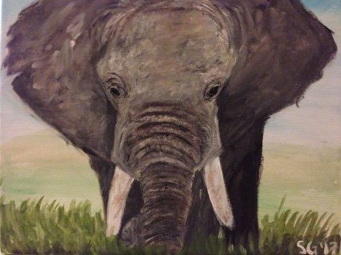 Elephant #2