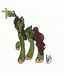 Princess Tiana Ponified