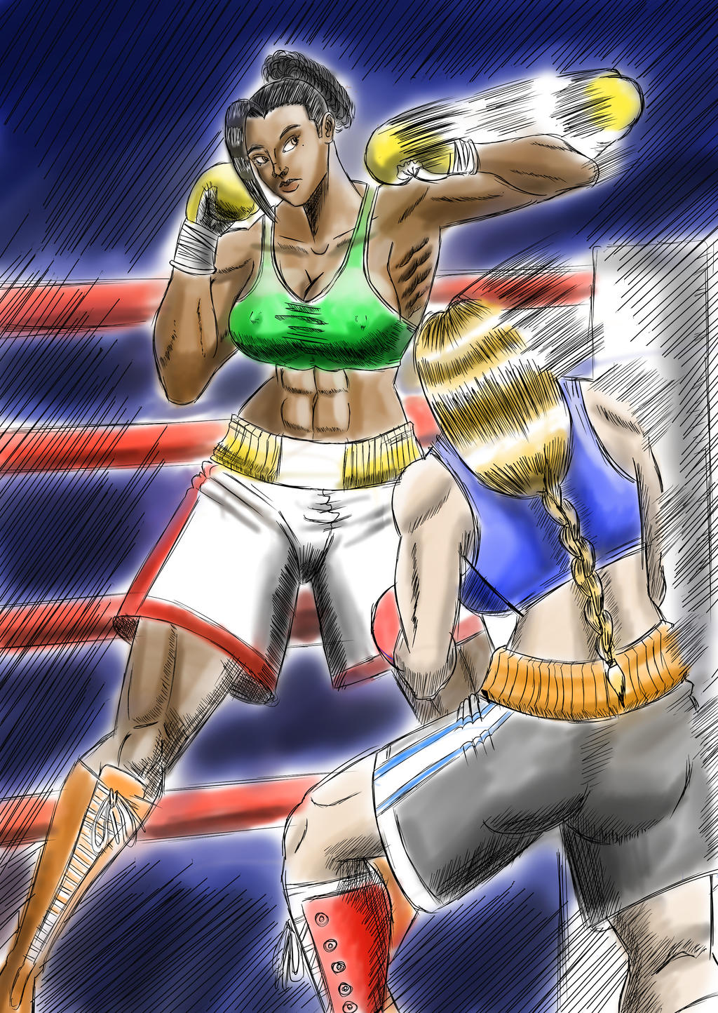 Boxing catfight by sabertoothliger on DeviantArt