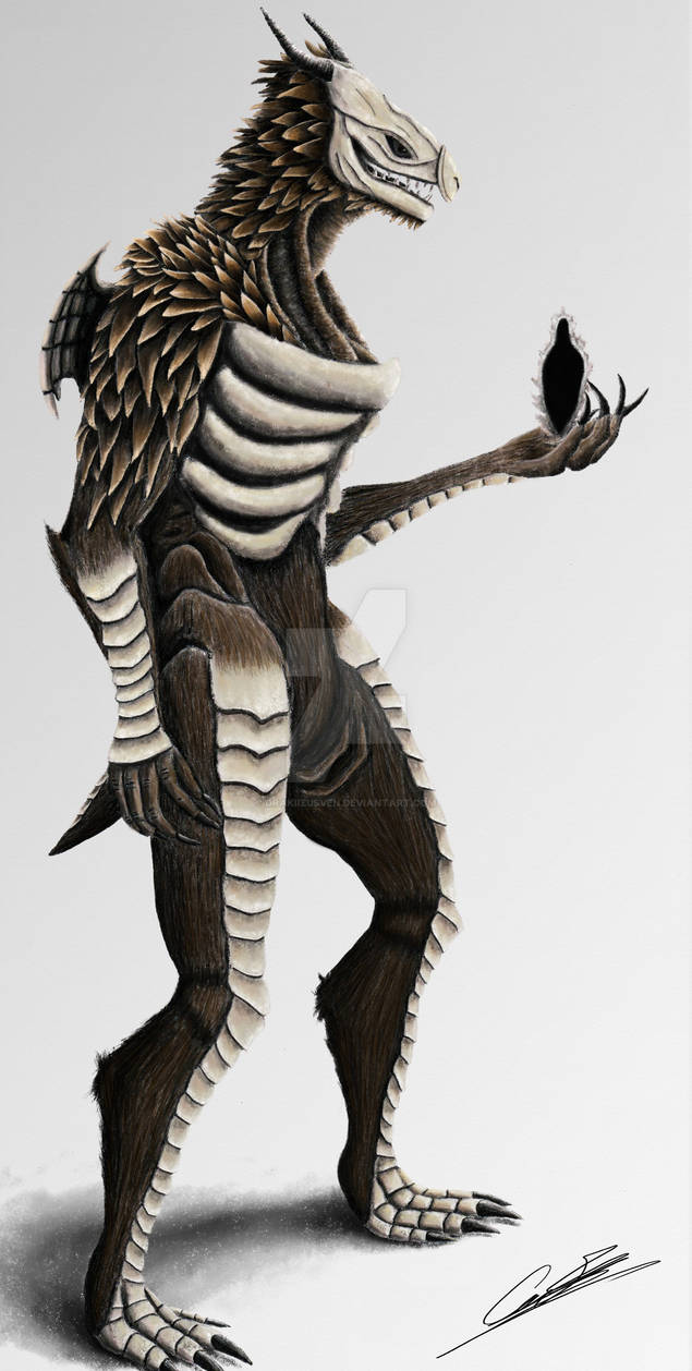 Dragonoid Dark Souls Path of the Dragon by DrakIizusVen on DeviantArt
