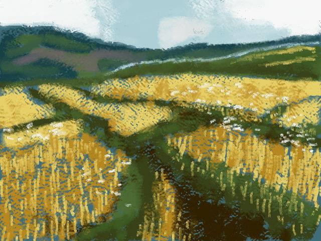 Barley Field