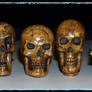 Group of Skulls
