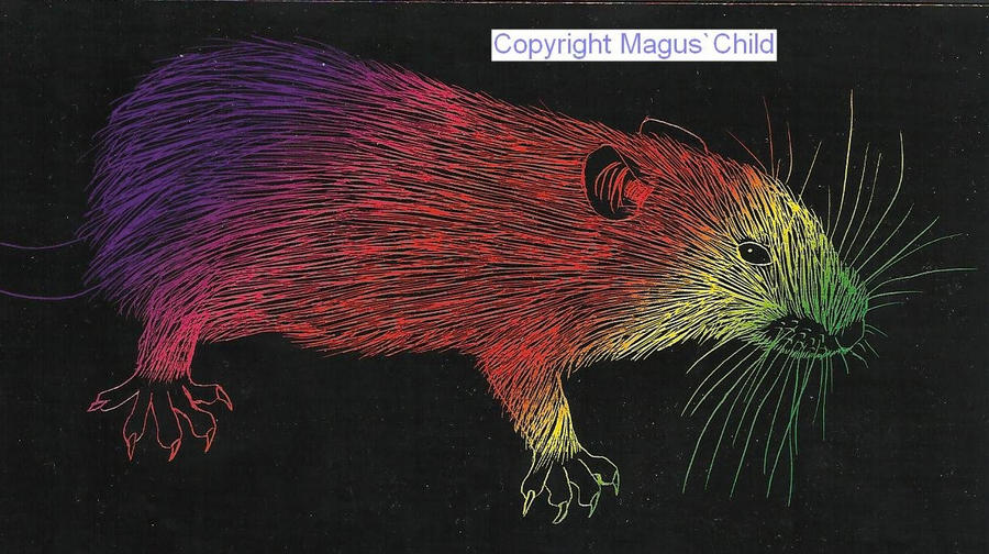 Rainbow rat by JanusMouse on DeviantArt