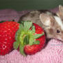 Strawberry fresh mouse