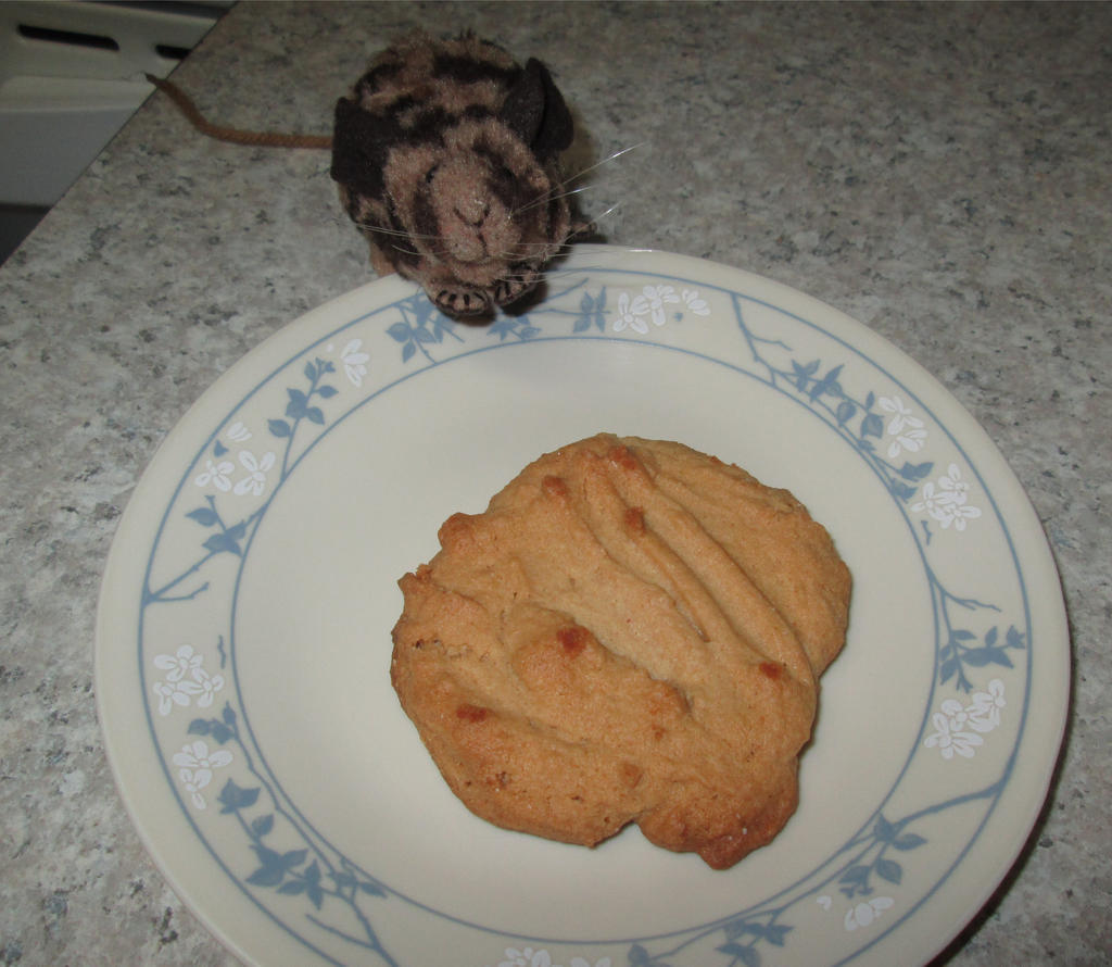 I made peanut butter cookies