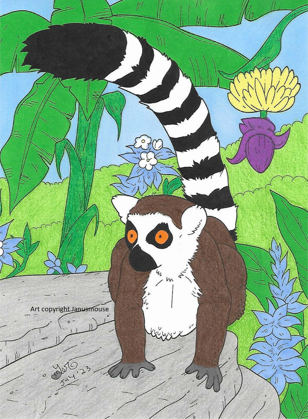 Deviantart Ringtail Ringtail in the jungle by SnowPetalMagus on DeviantArt