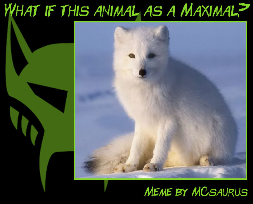 Maximal Fox Arctic Fox as a Maximal by NineLivesCaveCat on DeviantArt