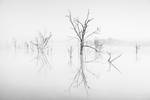Entropy by Essential-Insanities