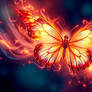 Emberwing Monarch