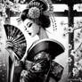 Geisha at Torii