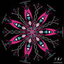 Bloom of the Infinite Feminine