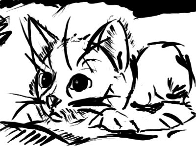 Cute-cat Line work by vMoGzyx on DeviantArt