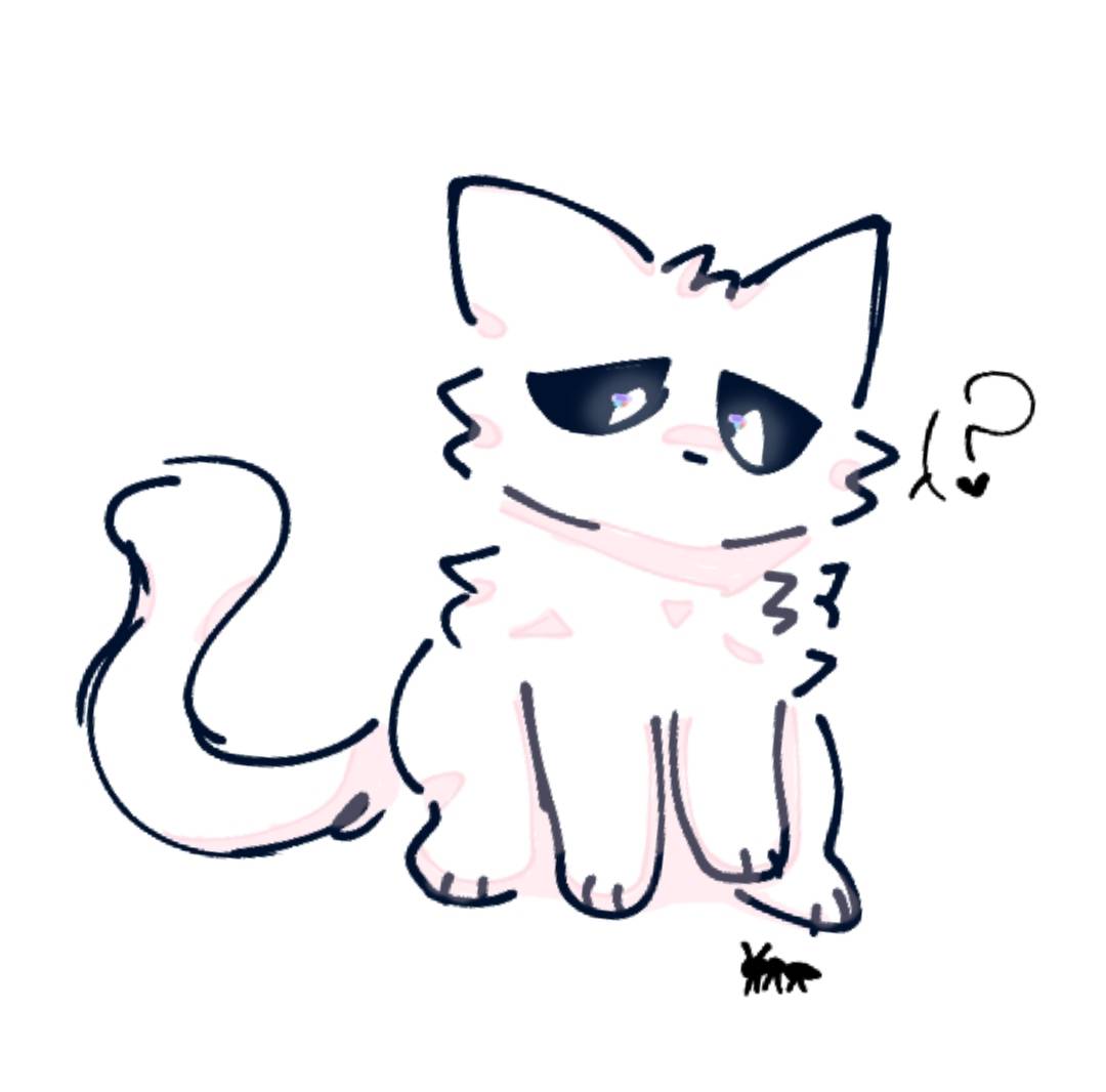 Random Image Sample Cat Random cat by Tokki-KB on DeviantArt