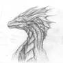 Sketchi Dragon