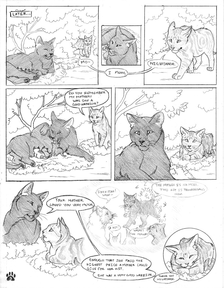 Warriors: Into the Wild- page 16 by Winggal on DeviantArt