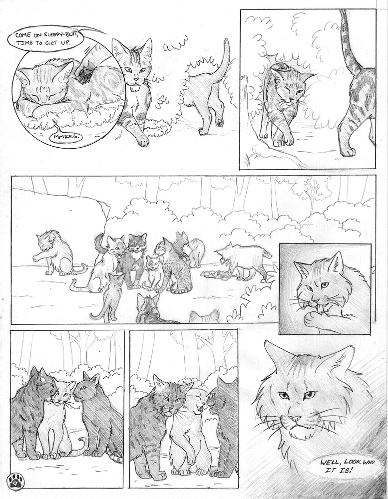 Warriors: Into the Wild- page 16 by Winggal on DeviantArt