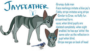 Jayfeather2.0