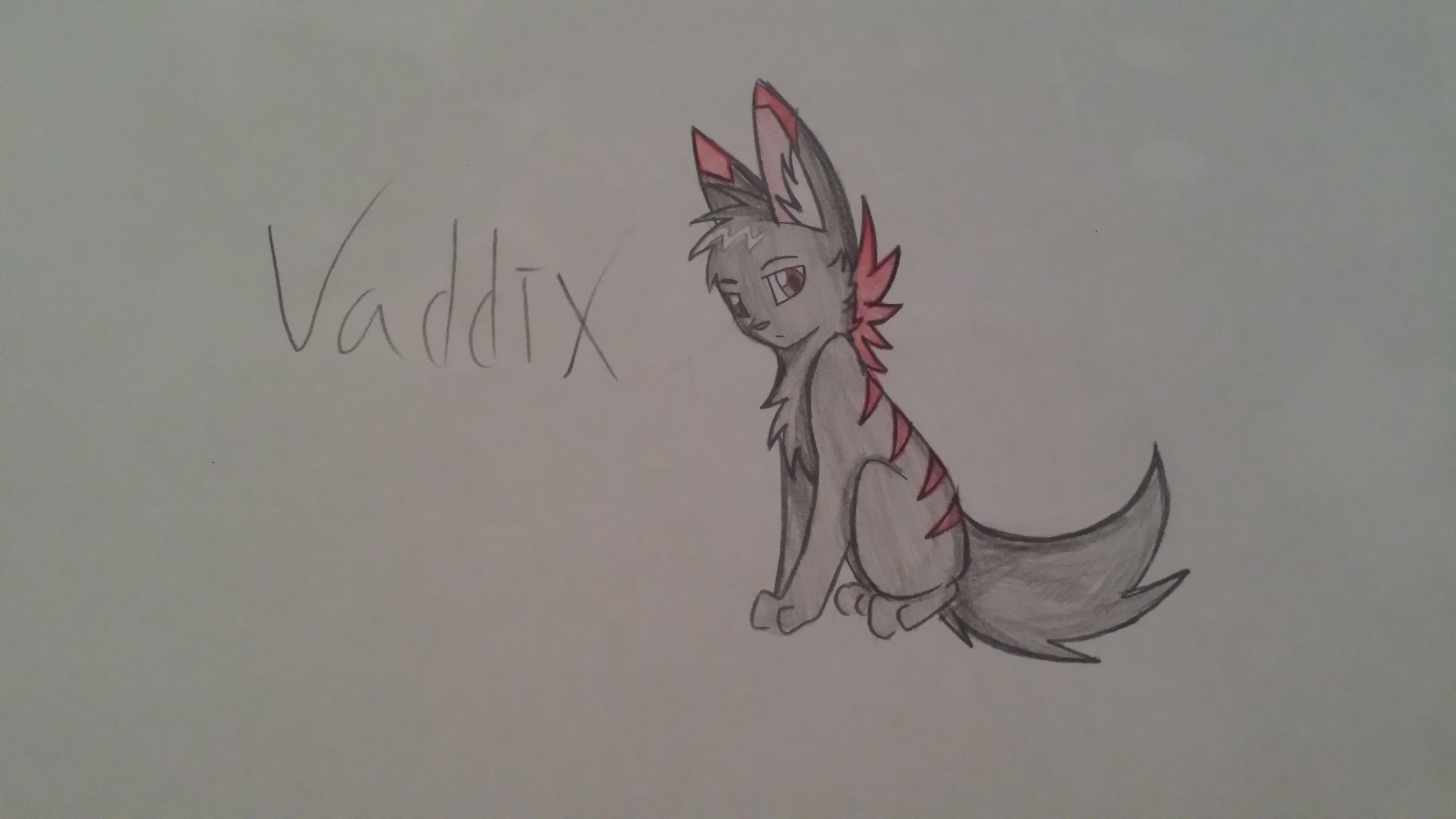 Vaddix Cat!!