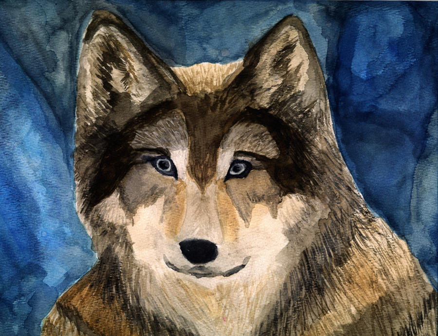Wolf by superahmazingnes on DeviantArt