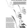 Microraptor Tutorial