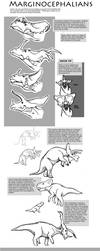 Marginocephalia Tutorial by sketcherjak