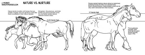 Horse Anatomy Part IV - Nature v Nurture